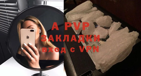 шишки Бородино