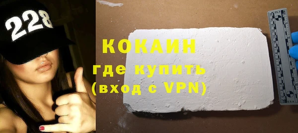 шишки Бородино