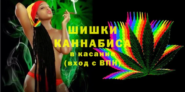 шишки Бородино